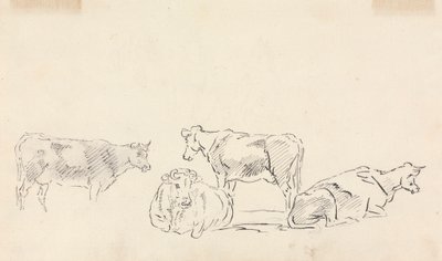 Studie von Rindern von Sawrey Gilpin