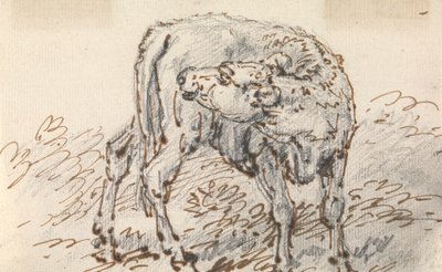 Studie eines Kalbs von Sawrey Gilpin
