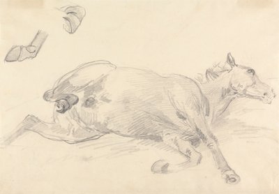 Studie eines liegenden Pferdes von Sawrey Gilpin