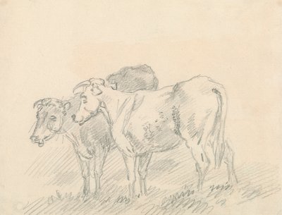 Zwei Kühe von Sawrey Gilpin
