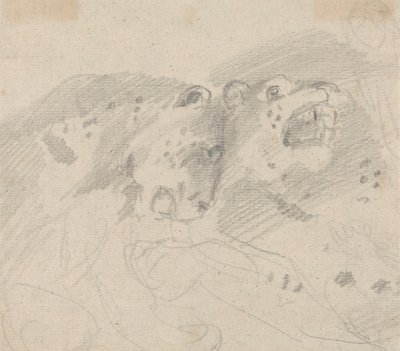 Zwei Leoparden von Sawrey Gilpin