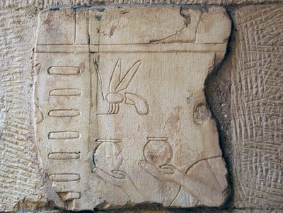 Detail eines Reliefs, Luxor von School Egyptian
