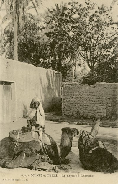 Le Repos du Chamelier, ca. 1890-1914 (s/w Foto) von School French