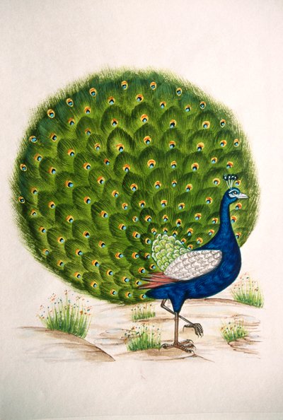 Miniaturmalerei auf Seide, Pfau von School Indian