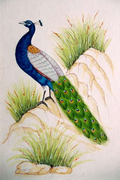 Miniaturmalerei auf Seide Pfau von School Indian