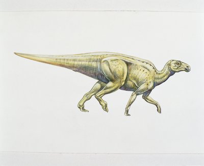 Hadrosaurier oder Entenschnabeldinosaurier (Farblithografie) von School Italian