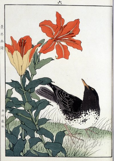 Amsel und Lilienblüten - Japanischer Druck von Japanese School