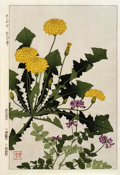 Löwenzahnblüten - Japanischer Druck von Japanese School
