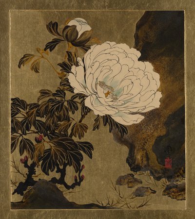 Lackmalereien verschiedener Motive: Pfingstrosen, 1882 von Shibata Zeshin