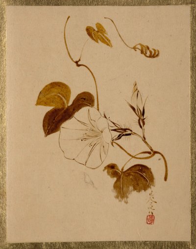 Morgenröte von Shibata Zeshin