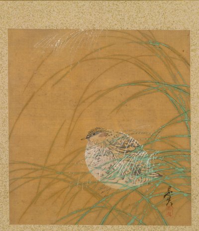 Wachtel im Gras aus dem Album der Malerei von Shibata Zeshin