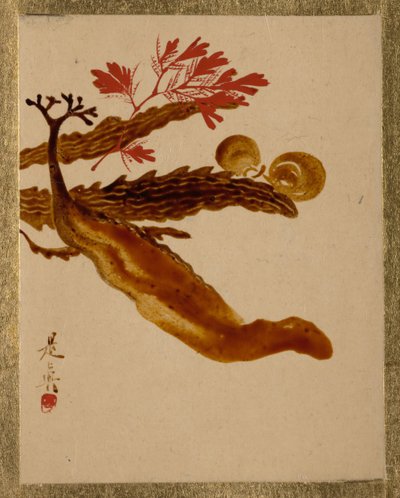 Seetang von Shibata Zeshin