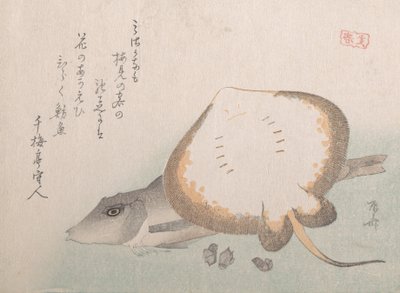 Stachelrochen und Knurrhahn, wahrscheinlich 1815 von Shinsai