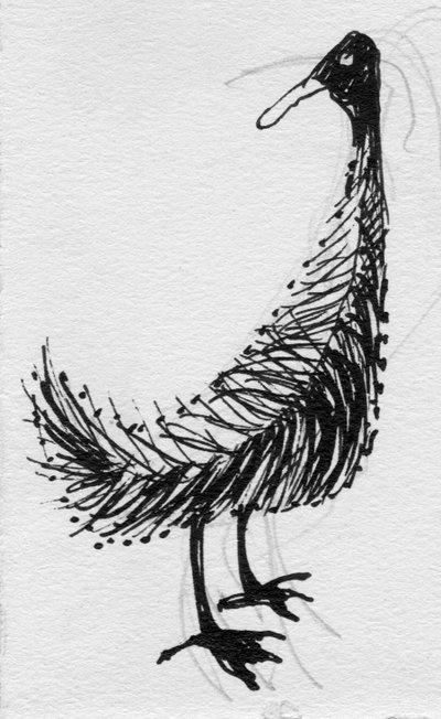 Vogel von Shirley Markham