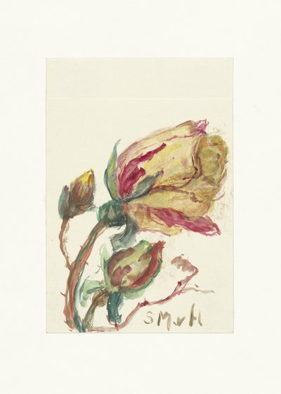 Rose von Sientje Mesdag van Houten