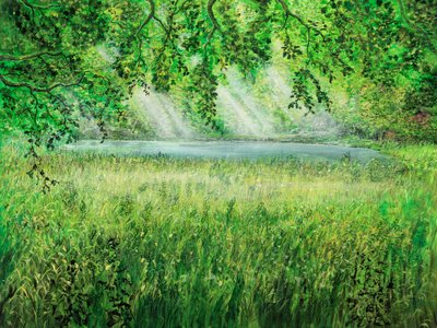 Naturschirm von Silvian Sternhagel