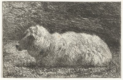Liegendes Schaf von Simon Andreas Krausz