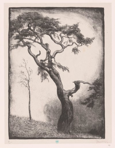 Kiefer von Simon Moulijn (signed by artist)