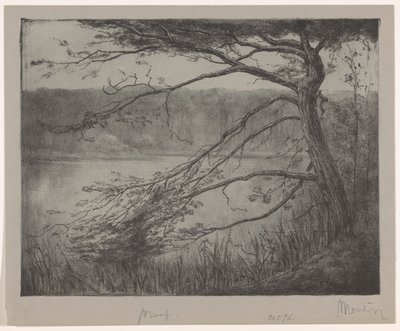 Teich bei Oisterwijk von Simon Moulijn (signed by artist)