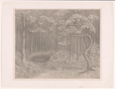 Waldlandschaft von Simon Moulijn