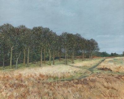 Wald, Richmond Park, 2019 von Simon Neville