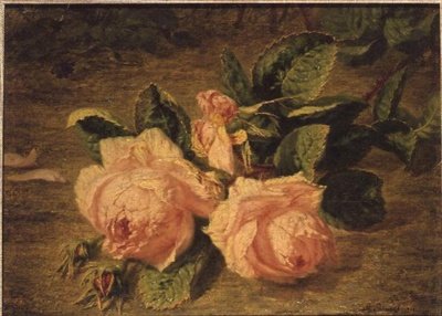 Rosa Rosen von Simon Saint Jean