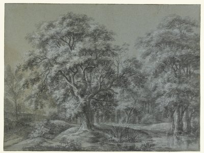 Waldlandschaft mit Wasser von Simon de Vlieger