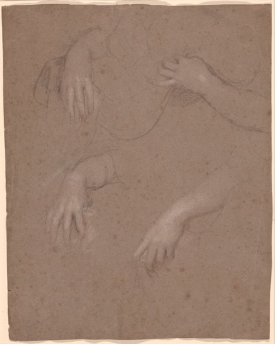 Zeichnungen von Händen von Sir Peter Lely
