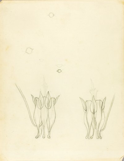Akazien von Solon H. Borglum