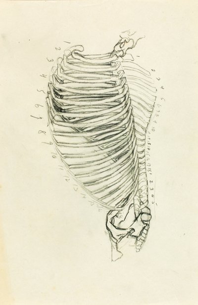 Anatomie von Solon H. Borglum