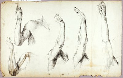 Armstudien, Nr. 2 von Solon H. Borglum