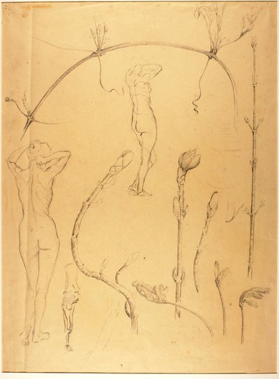 Zweig und Aktstudie von Solon H. Borglum