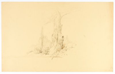 Toter Baum und weidendes Fohlen von Solon H. Borglum
