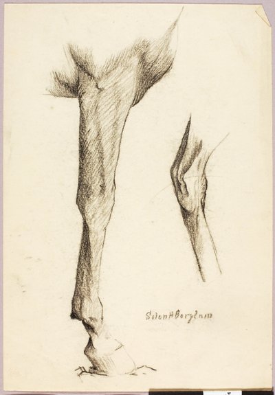 Pferdestudie von Solon H. Borglum