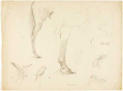 Pferdestudie und Kaninchen von Solon H. Borglum