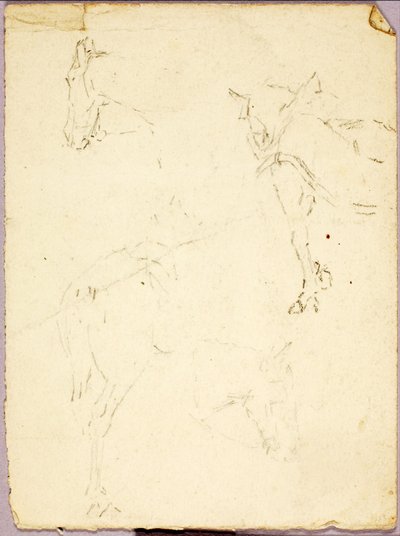 Pferde von Solon H. Borglum