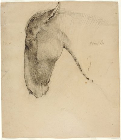 Pferdekopf von Solon H. Borglum