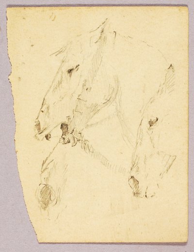 Pferdeköpfe von Solon H. Borglum