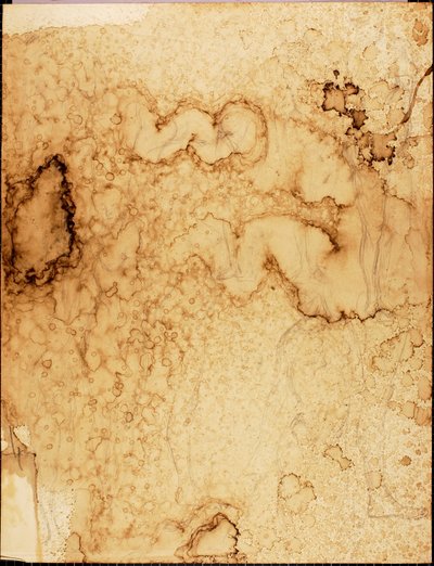 Aktdarstellungen von Solon H. Borglum