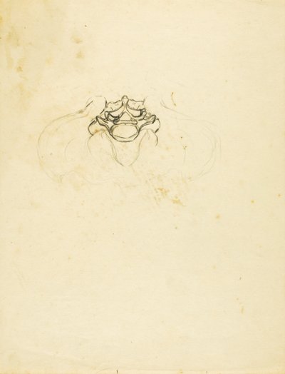 Becken von Solon H. Borglum