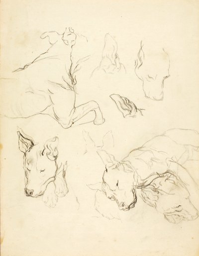 Schlafende Hunde von Solon H. Borglum