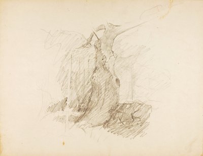 Ohne Titel von Solon H. Borglum