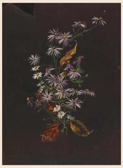 Herbststrauß, ca. 1890 von Sophia L. Crownfield