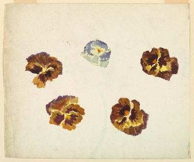 Recto von Sophia L. Crownfield