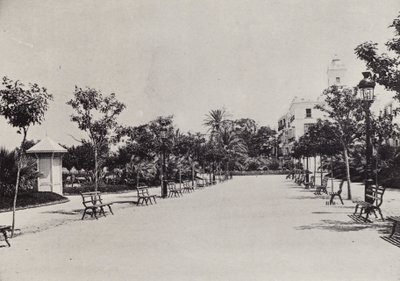 Cadiz: Alameda de Apodaca von Spanish Photographer