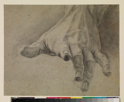 Studie einer linken Hand, 18. Jahrhundert von Spanish School