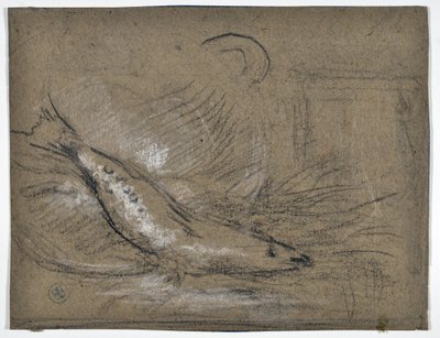 Fischstudie von Stanislas Torrents y de Amat