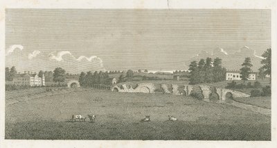 Wolseley Bridge: Gravur von Stebbing Shaw
