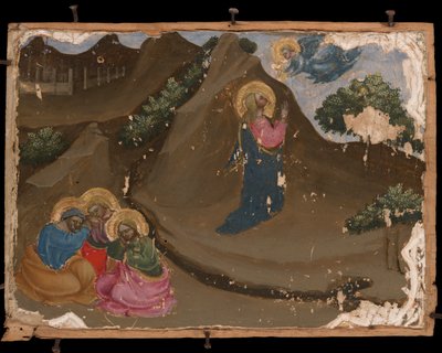 Die Agonie im Garten von Stefano d