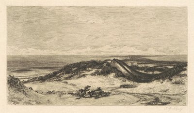 Die Seeschlange von Stephen Alonzo Schoff, after Elihu Vedder